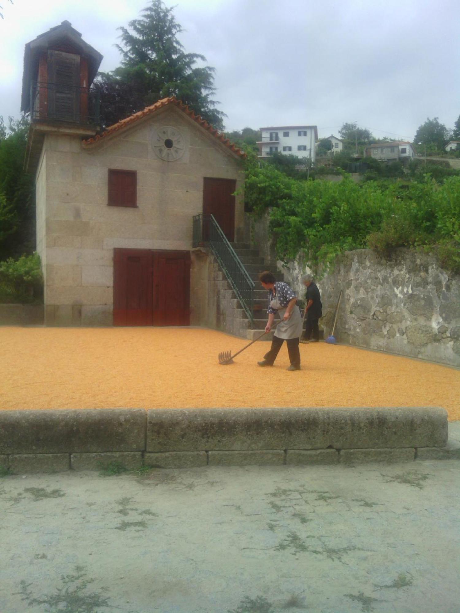 Quinta Da Casa Grande Pinheiro Pensionat Baião Exteriör bild