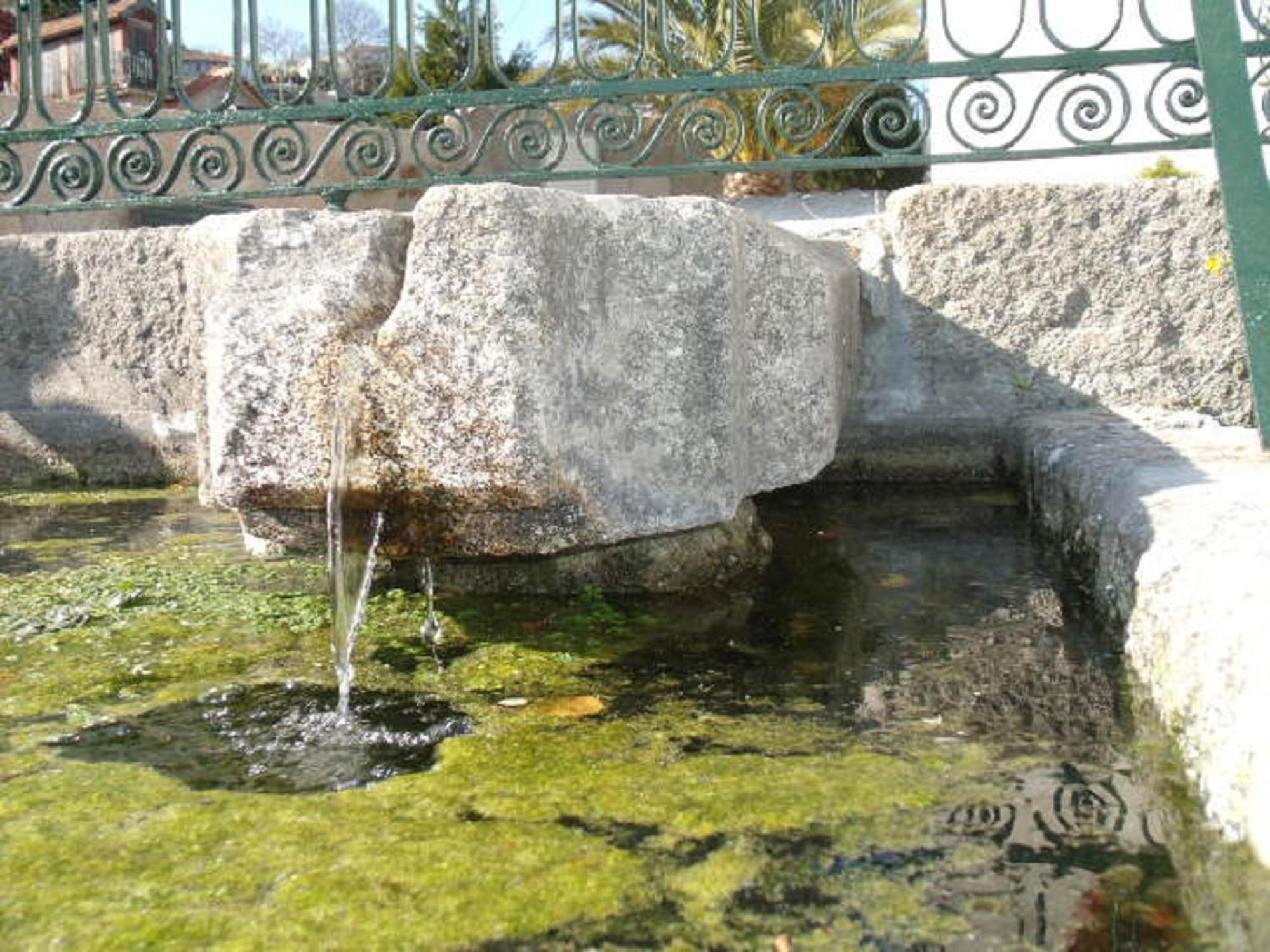 Quinta Da Casa Grande Pinheiro Pensionat Baião Exteriör bild