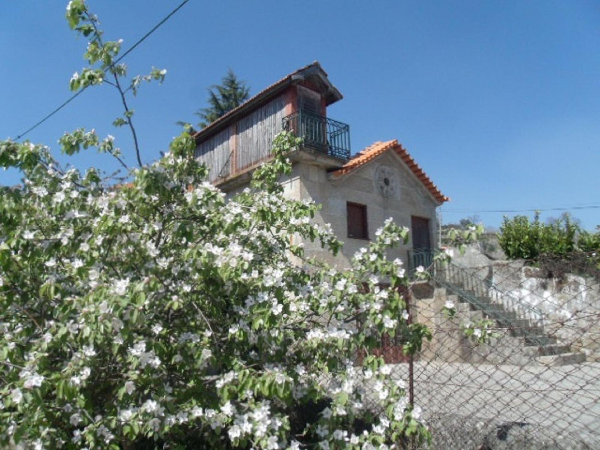 Quinta Da Casa Grande Pinheiro Pensionat Baião Exteriör bild